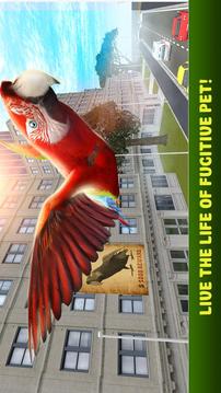 City Bird Parrot Simulator 3D游戏截图1