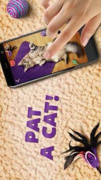 虚拟的宠物猫：帕特猫游戏截图3