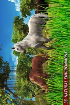 Virtual Horse Family Jungle Simulator游戏截图5