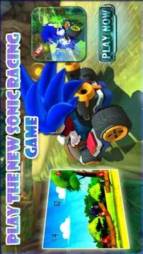 sonic racing adventure游戏截图1