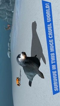 Seal Survival Simulator 3D游戏截图4