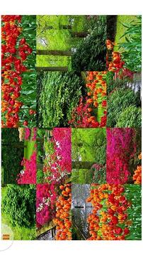 Tile Puzzle - Gardens游戏截图4