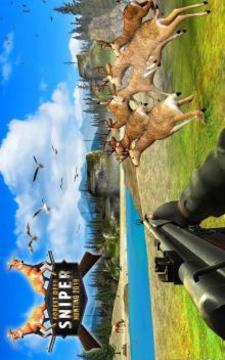 Forest Deer Sniper Hunting 2018游戏截图4
