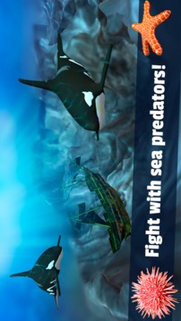 Beluga Whale Simulator - Underwater Life 3D游戏截图3