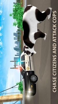 Hungry Bear City Attack Sim 3D游戏截图3