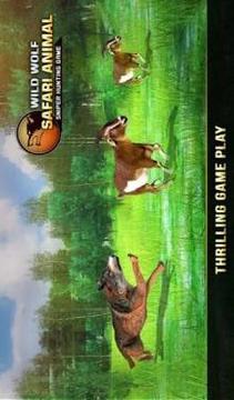 Wild Wolf Safari Animal Sniper Hunting Game游戏截图4