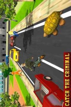 Multi Ninja Hero Vs Evil Turtle Villain游戏截图4