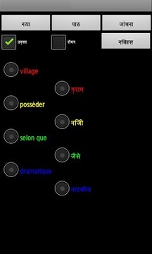 French Hindi Dictionary游戏截图5