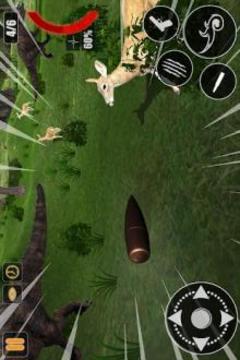 Wild Animals Jungle Hunting: FPS Shooting Game游戏截图5