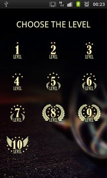 Drag Racing World Record Tunes游戏截图2