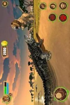 Furious Lion Vs Angry Anaconda Snake: Wild Sim游戏截图2