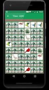 Bird Memory Matching Game游戏截图1