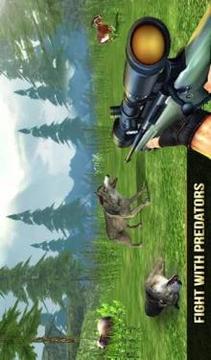 Wild Wolf Safari Animal Sniper Hunting Game游戏截图1