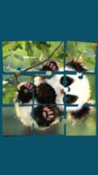 Picture Puzzle: Free Jigsaw Memory Game游戏截图3