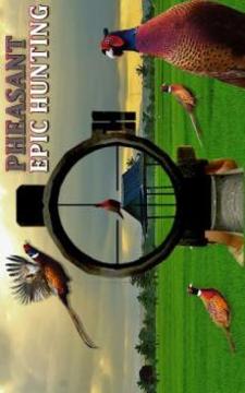 Pheasant Hunting: Archery Birds Hunter 2018游戏截图3