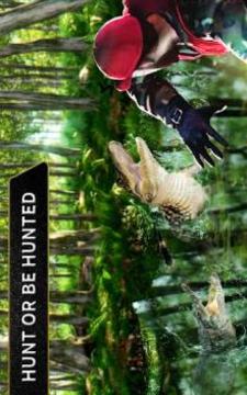 Wild Animal Archery Hunter Bird Shooting Game游戏截图3