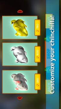 Furry Chinchilla Pet Animal Simulator游戏截图5