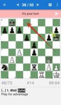 CT-ART. Chess Mate Theory游戏截图2