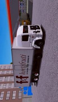 Skins World Truck Driving Simulator - WTDS游戏截图3