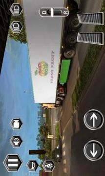 Real Truck Driver Driving Sim 3D游戏截图2