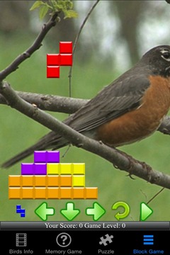 Save Our Birds游戏截图4