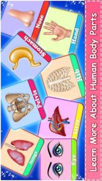 Learn Human Body Parts For Kids游戏截图3