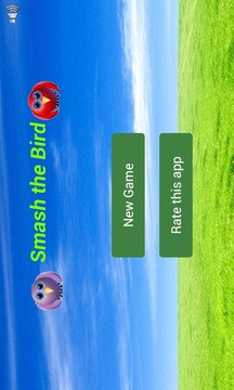 Smash the Bird游戏截图1