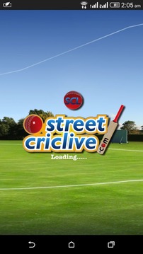 Cricket Scorer for All Matches游戏截图1