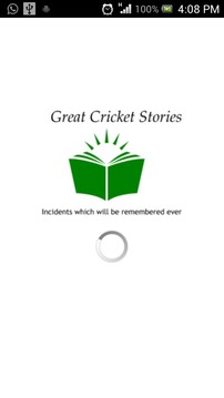 Great Cricket Stories ICC游戏截图1