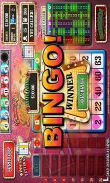 Glamour Puss Bingo Kitty Cash Cats FREE游戏截图2