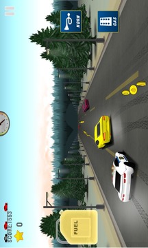 Police Car Chase游戏截图2