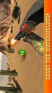 Watermelon Shooter - Shooting Range Master游戏截图2