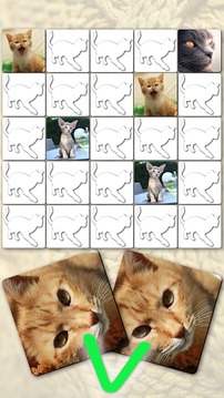 Memory Games free: Cute Cats游戏截图1