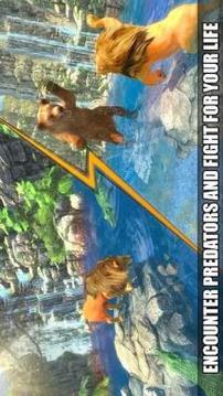 The Lion Simulator 3D: Forest Life of Lion Games游戏截图1
