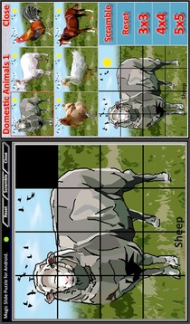 Magic Slide Puzzle D.Animals1游戏截图2