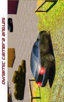 Police Car : Crime Chase Offroad Driving Simulator游戏截图2