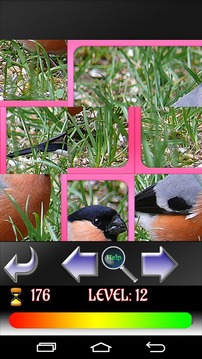 Puzzle Birds游戏截图3