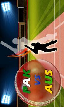 Pak vs Aus Cricket Game Live游戏截图3