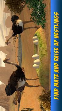 Ostrich Bird Simulator 3D游戏截图3