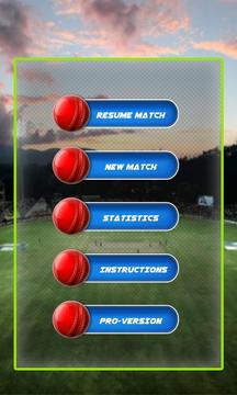 Cricket Scorecard 2015游戏截图1