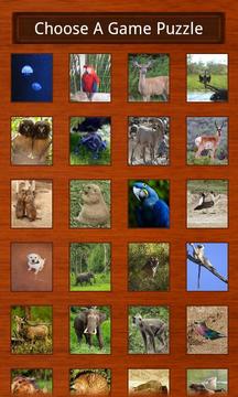 Wildlife Puzzles游戏截图2