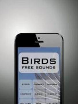 Birds funny sounds free游戏截图1