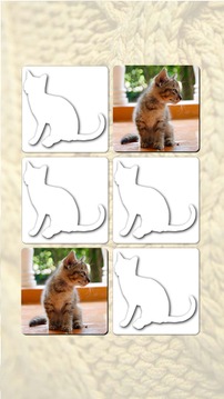 Memory Games free: Cute Cats游戏截图2