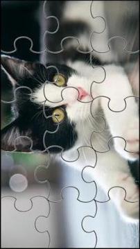 Cute Cats Jigsaw Puzzle游戏截图1