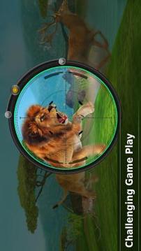 Lion Hunting游戏截图4