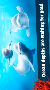Beluga Whale Simulator - Underwater Life 3D游戏截图4