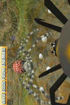 Spider Family Nest Simulator 3D游戏截图4