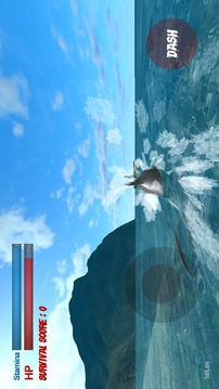 Incredible Shark 3D Simulator游戏截图3