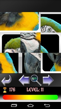 Puzzle Birds游戏截图4