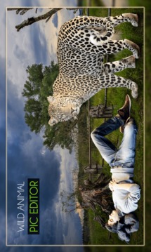 Wild Animal Photo Editor - Animal Photo Frames游戏截图1